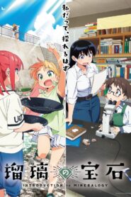 Ruri no Houseki Online