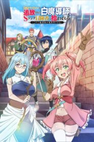 Yuusha Party wo Tsuihou sareta Shiromadoushi, S-Rank Boukensha ni Hirowareru Online